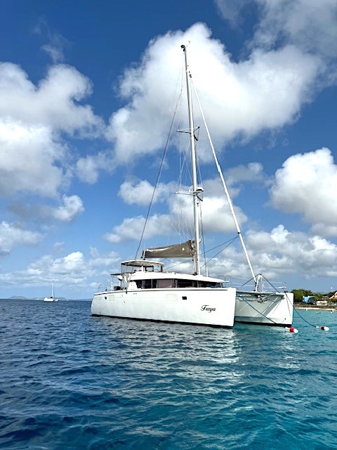 Used Sail Catamaran for Sale 2017 Lagoon 450 Additional Information